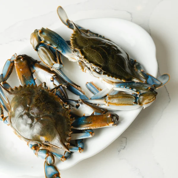Live Crabs