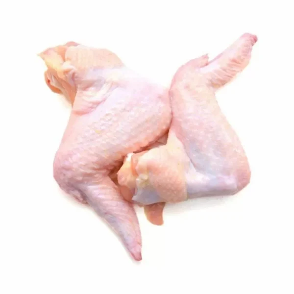 Wing, prime joint