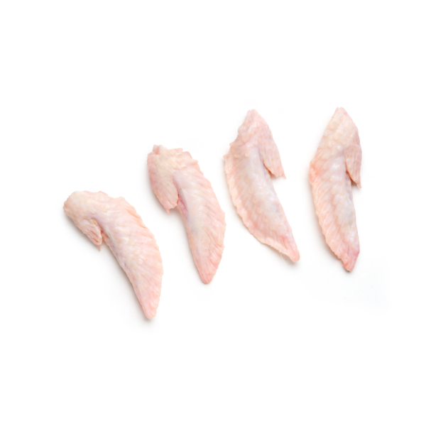 Wing, tip of wing